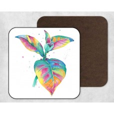 Splash Of Colour - Set Of 4 Coasters