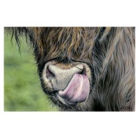 Slim Pickings - Art Print Slim Pickings - Art Print