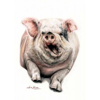 Pig In The Mud - Art Print
