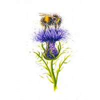 Delicious - Art Print