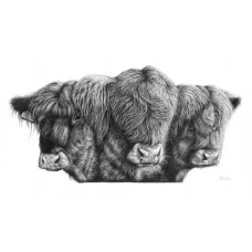 Chewing The Cud - Art Print