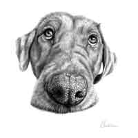 I Love You - Art Print