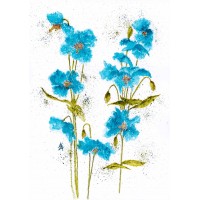 Himalayan Poppies - Art Print