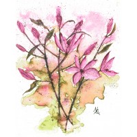 Pink Lilies - Art Print Pink Lilies - Art Print