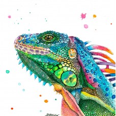Iguana - Art Print