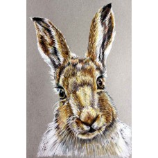 Hare - Art Print