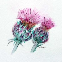 Scottish Thistles - Art Print