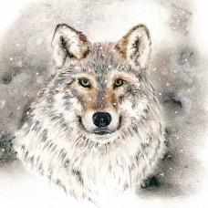 Lone Wolf - Art Print