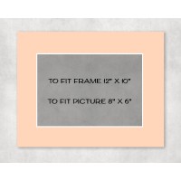 Conservation Picture Mount 12" x 10" to fit 8" x 6" picture - pack of 5