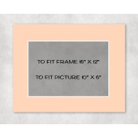 Conservation Picture Mount 16" x 12" to fit 10" x 6" picture - pack of 5