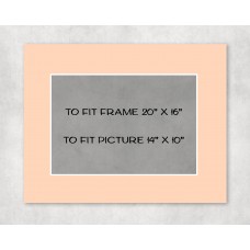 Conservation Picture Mount 20" x 16" to fit 14" x 10" picture - pack of 5