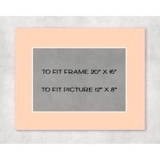 Conservation Picture Mount 20" x 16" to fit 12" x 8" picture - pack of 5