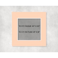 Conservation Picture Mount 20" x 20" to fit 18" x 18" picture - pack of 5